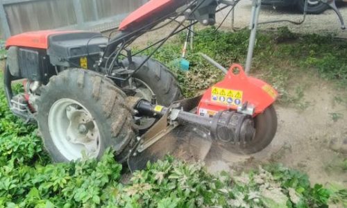 Eenasser met stronkenfrees