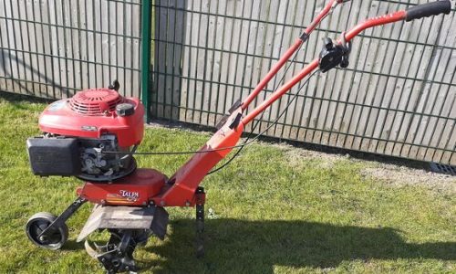 Tuinfrees 40cm 45 PK